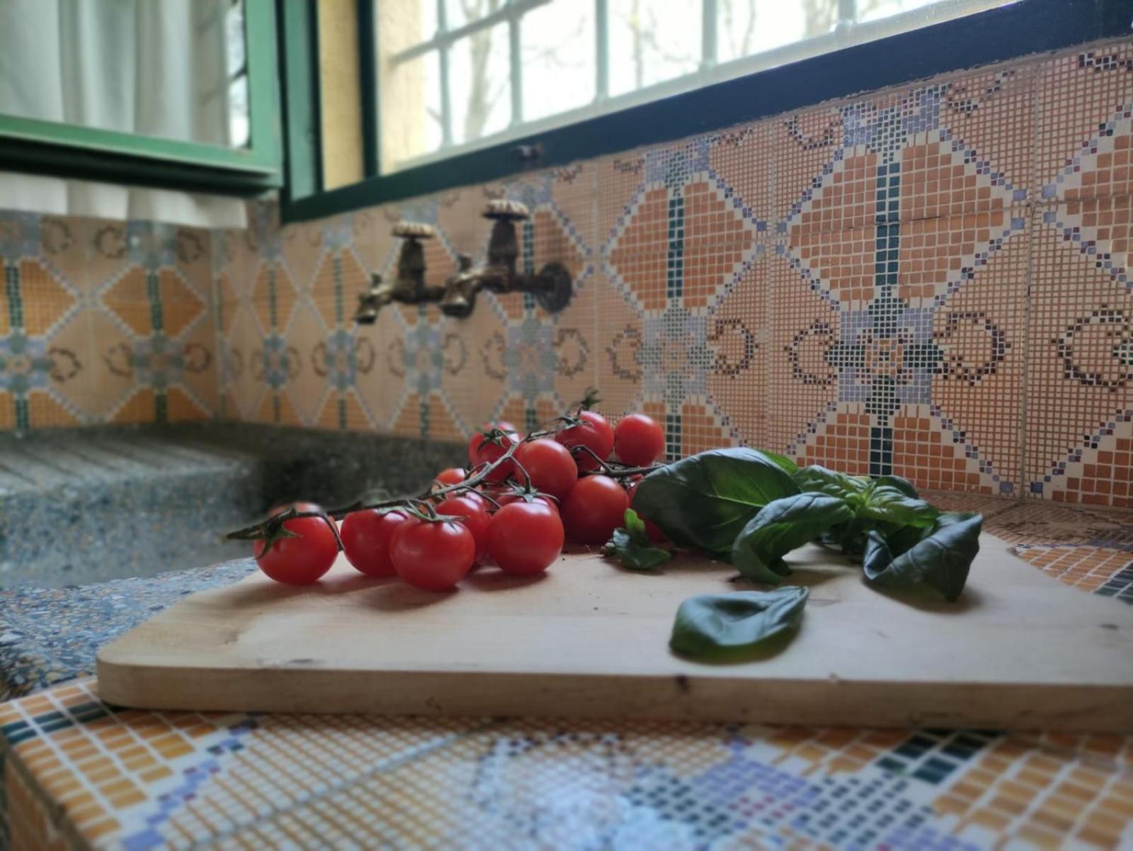 Casa Grazia Villa Gambassi Terme Eksteriør billede